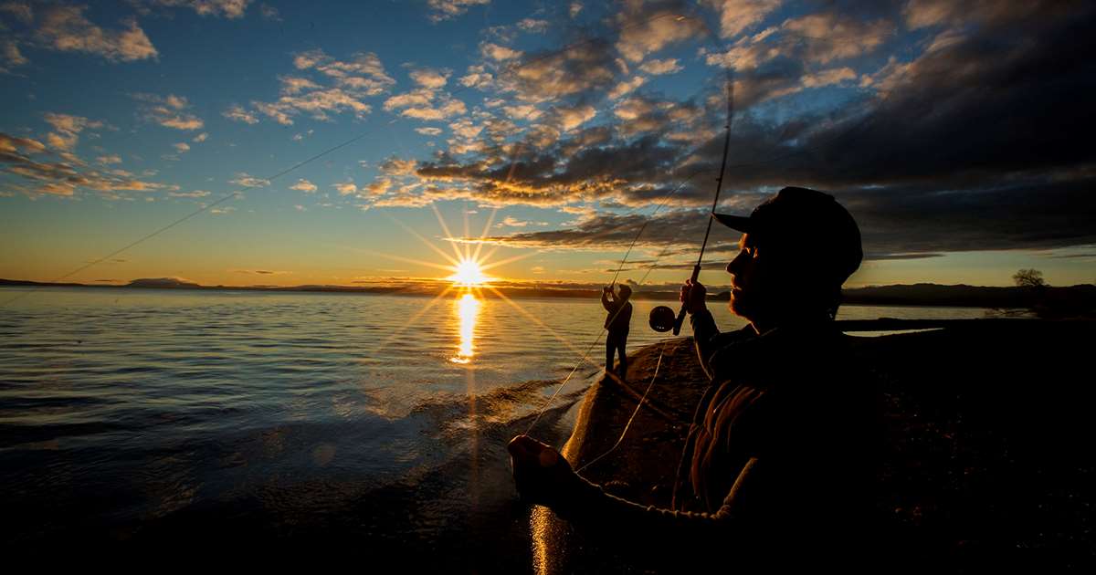 Spring In Taupo Things To Do During Spring In Taupo New