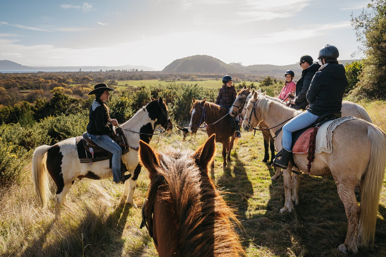 Saddle up with Korohe Horse Treks a family adventure Taupo Official