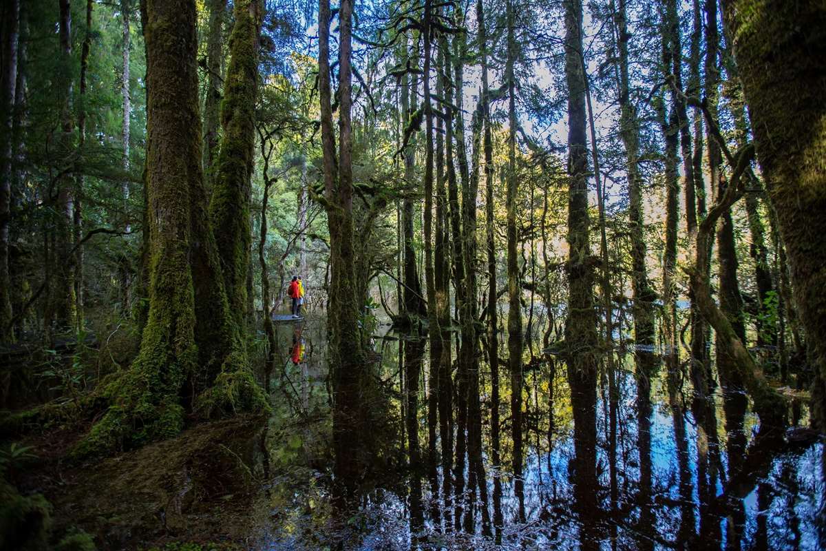 Kuratau Spring Kuratau, New Zealand | Love Taupo