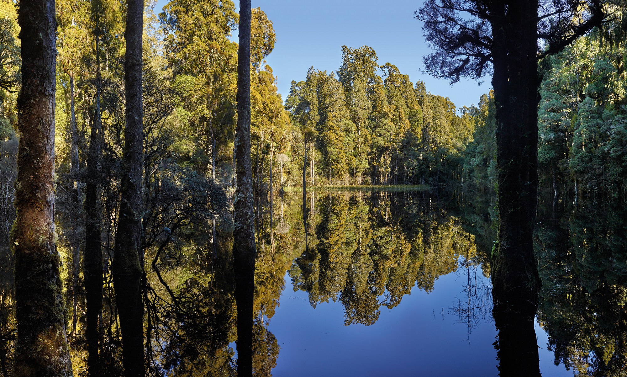 Waihora Lagoon walk Walks & hikes in Taupo, NZ Love Taupo