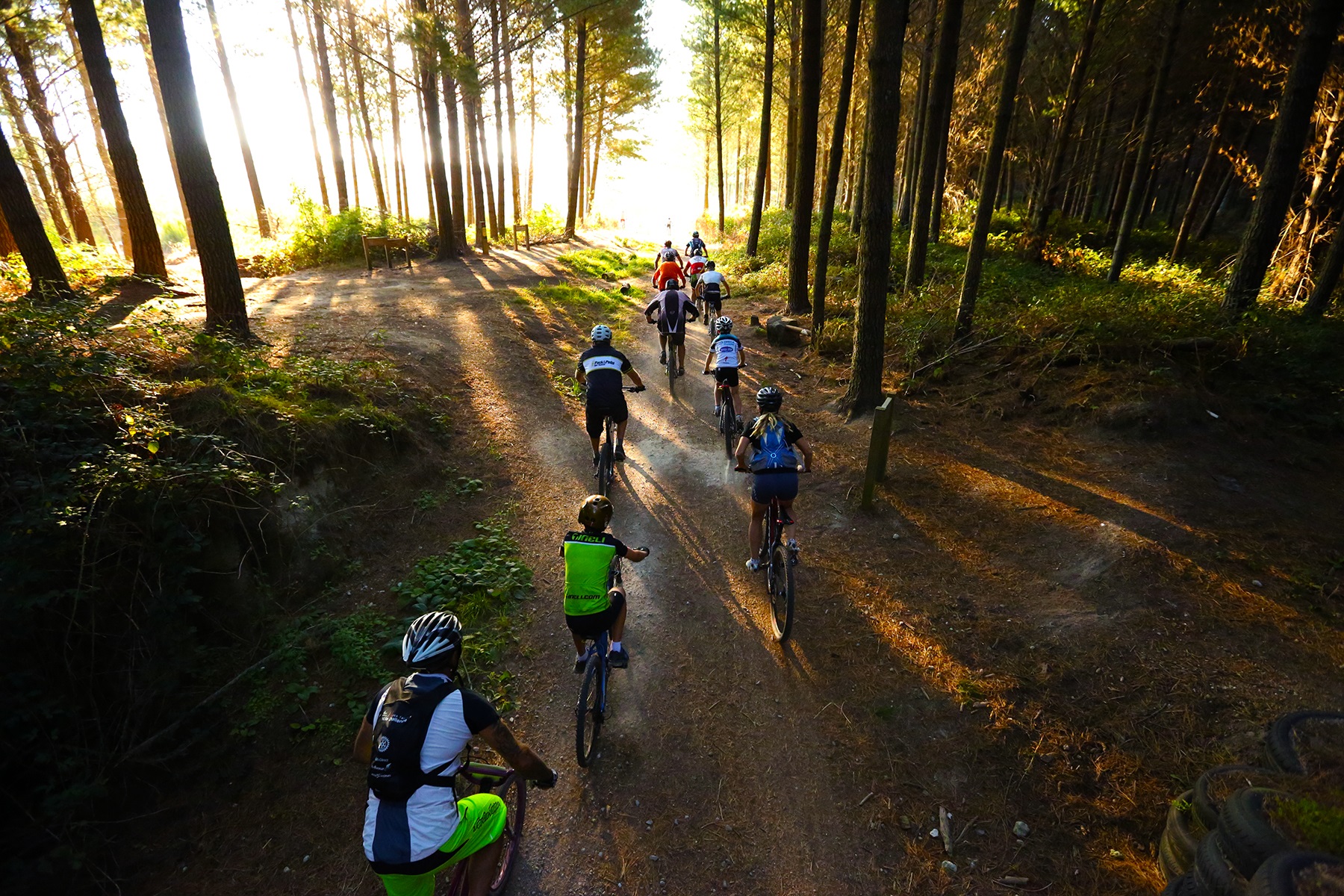 Cycling & Mountain Biking in Taupo Things to see & do in Taupo, New