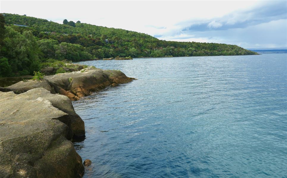 Rangatira Point Track | Short Walks in Taupo | Love Taupo