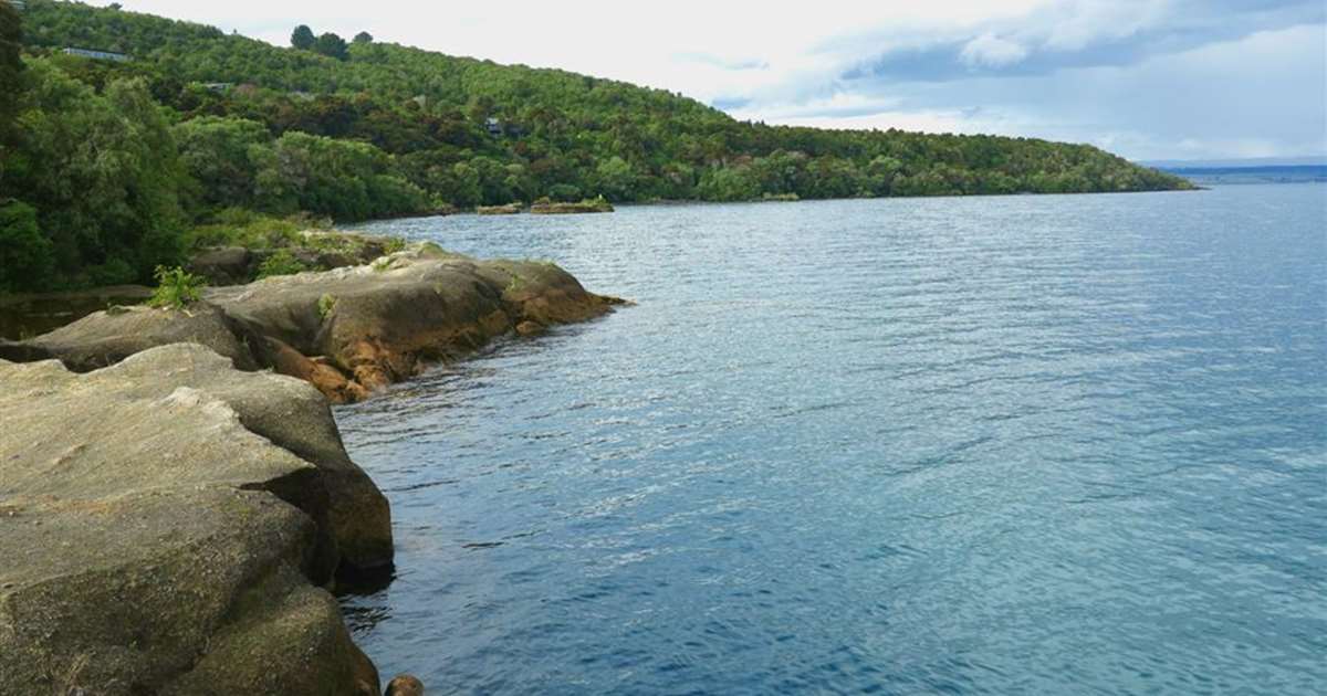 Tane Rangatira Rangatira Point Track | Short Walks in Taupo | Love Taupo