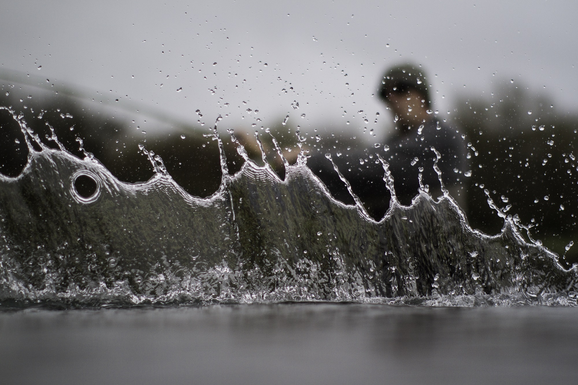 Trout Fishing Taupō Fly Fishing & Fishing Charters Taupo Official