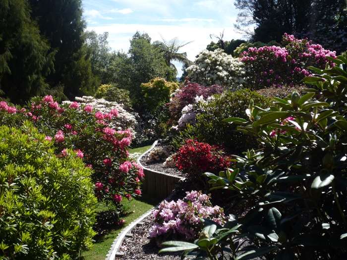 Dog Friendly Camping Taupo The Ultimutt Travel Guide Taupo Official