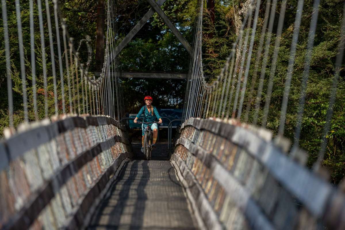 Woman mountain biking bridge on the Tongariro River Trails - Turangi, New Zealand