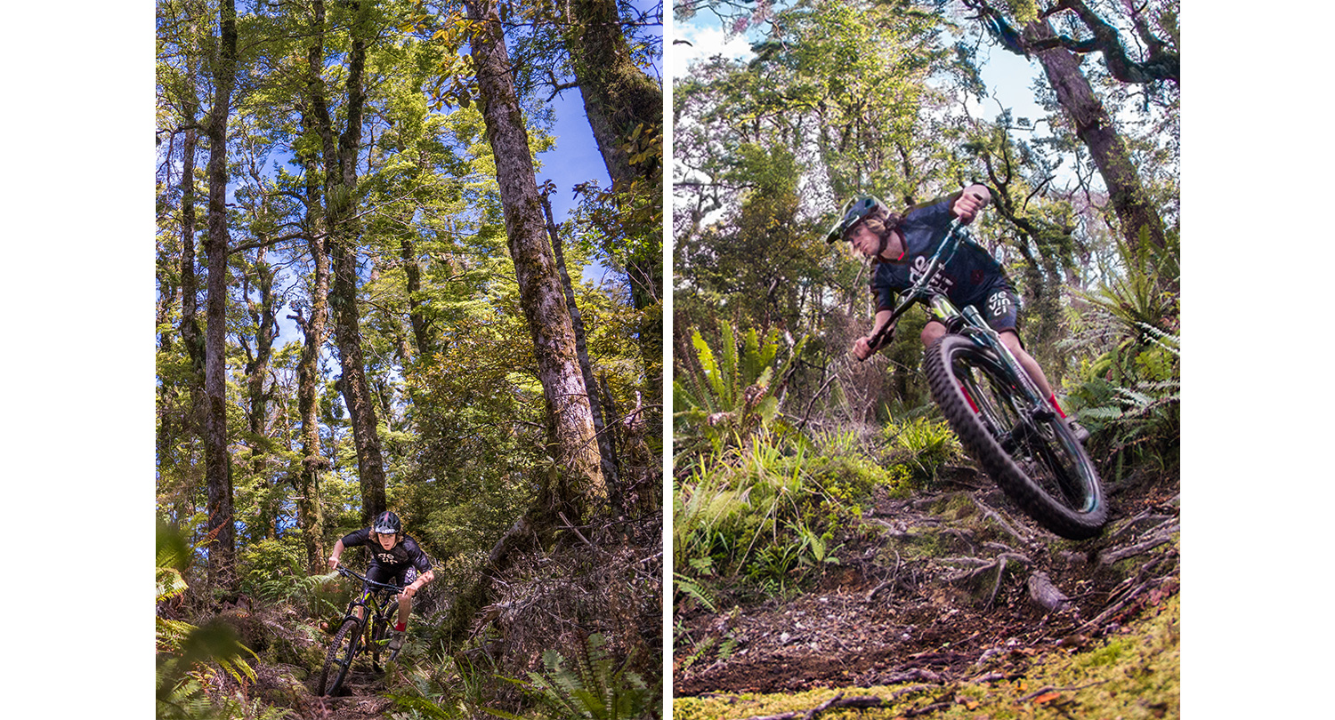 Te Iringa Trail Taupo - John Colthorpe