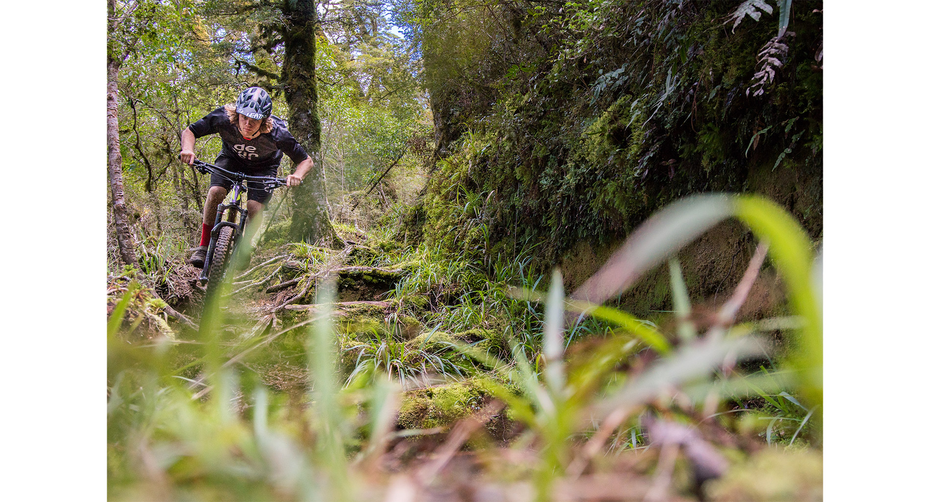 Te Iringa Trail Taupo - John Colthorpe