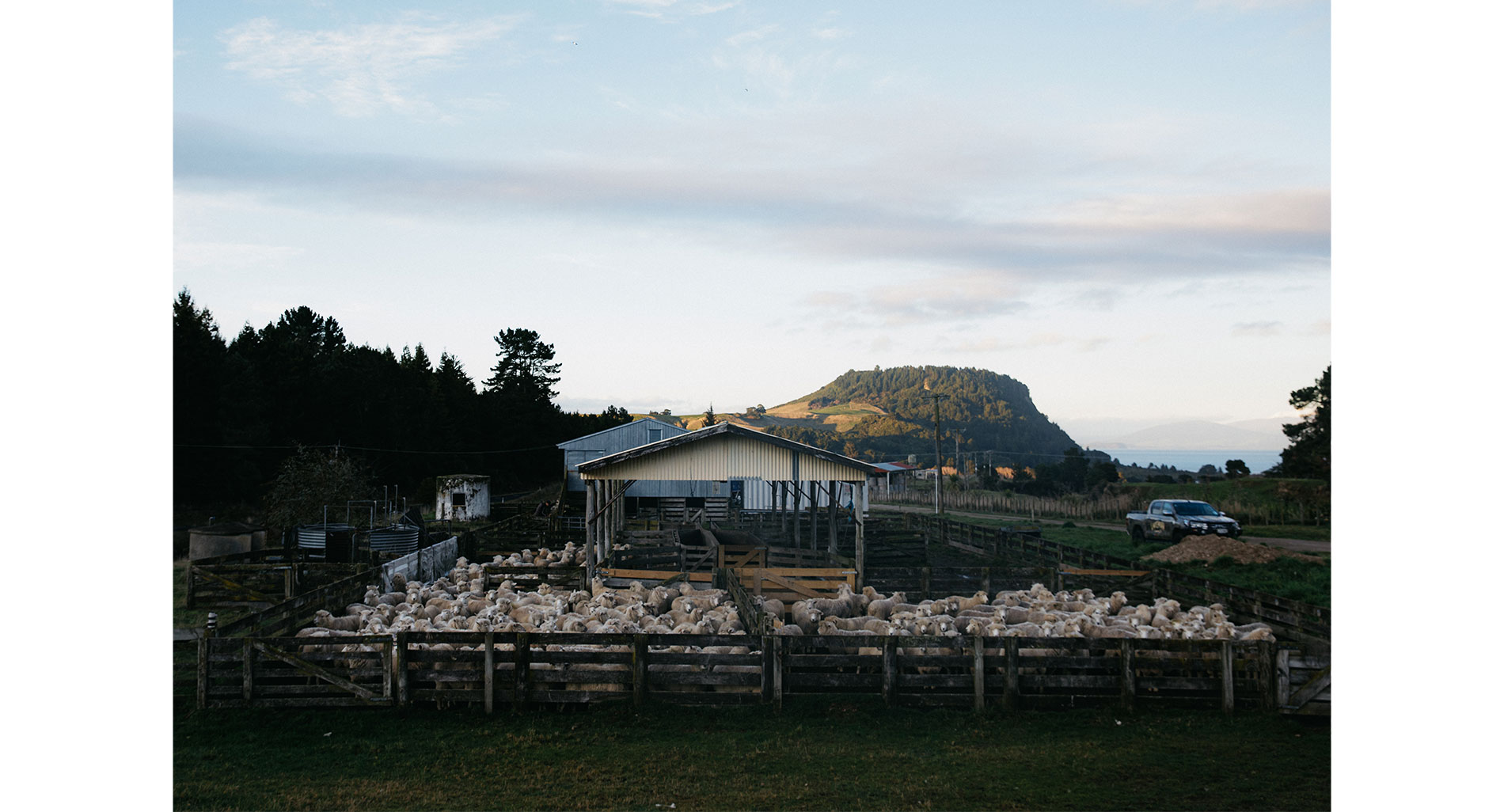 Aroha - James Cooper, Lakeman Brewing - Farming Lake Taupo