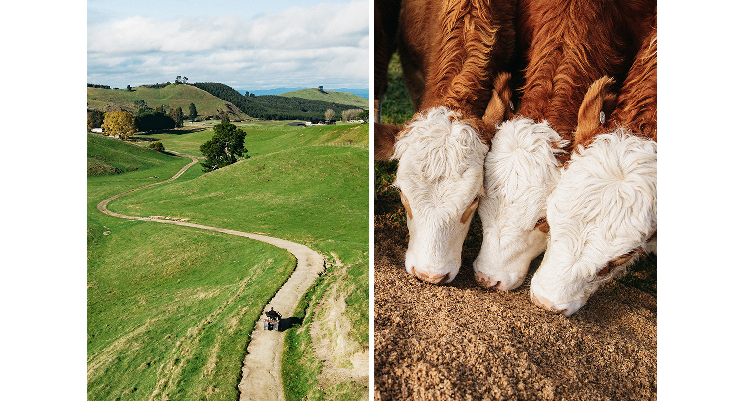 Aroha - James Cooper, Lakeman Brewing - Farming Taupo