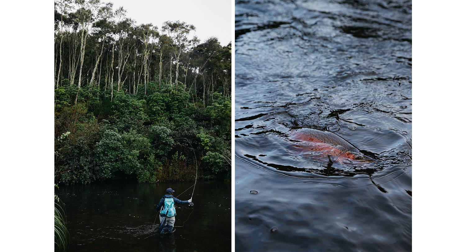 Aroha - Libby O'Brien, Fly fishing woman - Trout fishing Taupo New Zealand