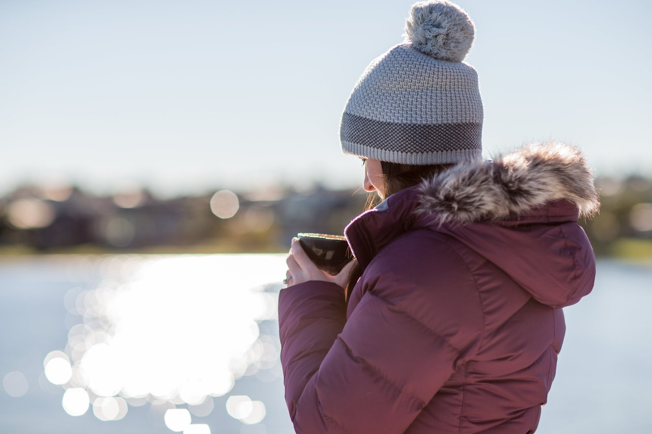 Dog Friendly Camping Taupo The Ultimutt Travel Guide Taupo Official