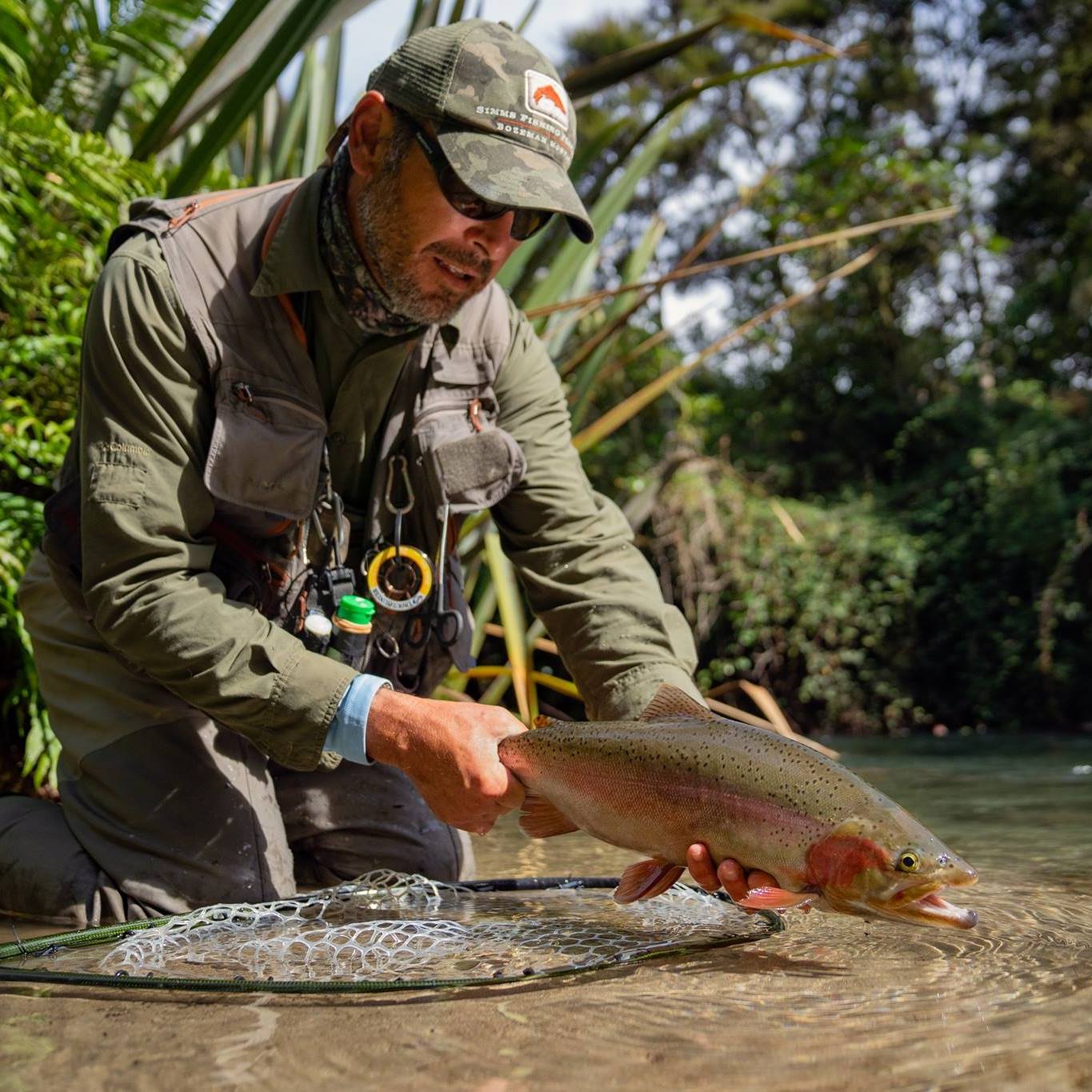 Man releases Rainbow Trout back into stream