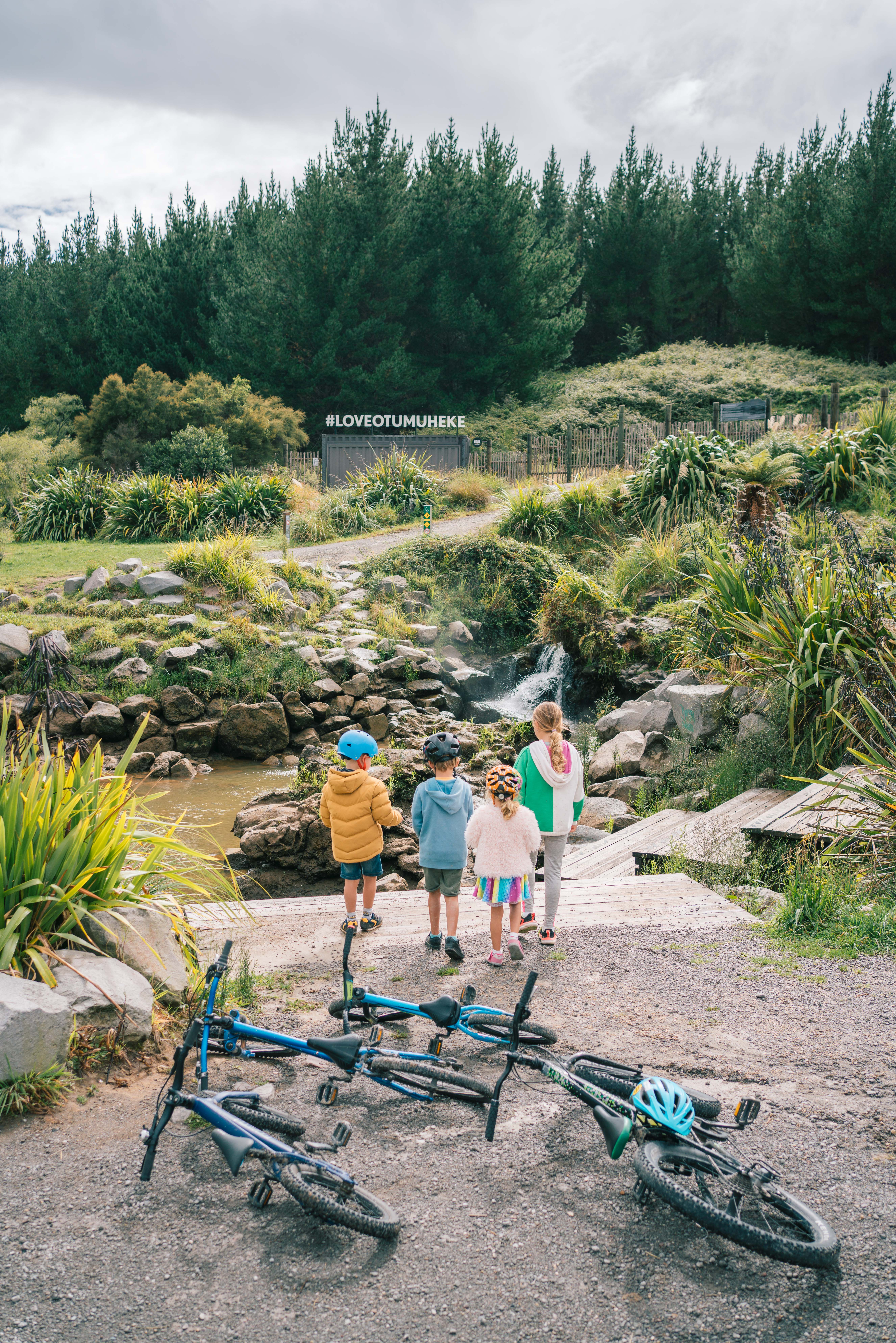 Discover Pureora Forest Park for an exceptional cycling and mountain ...