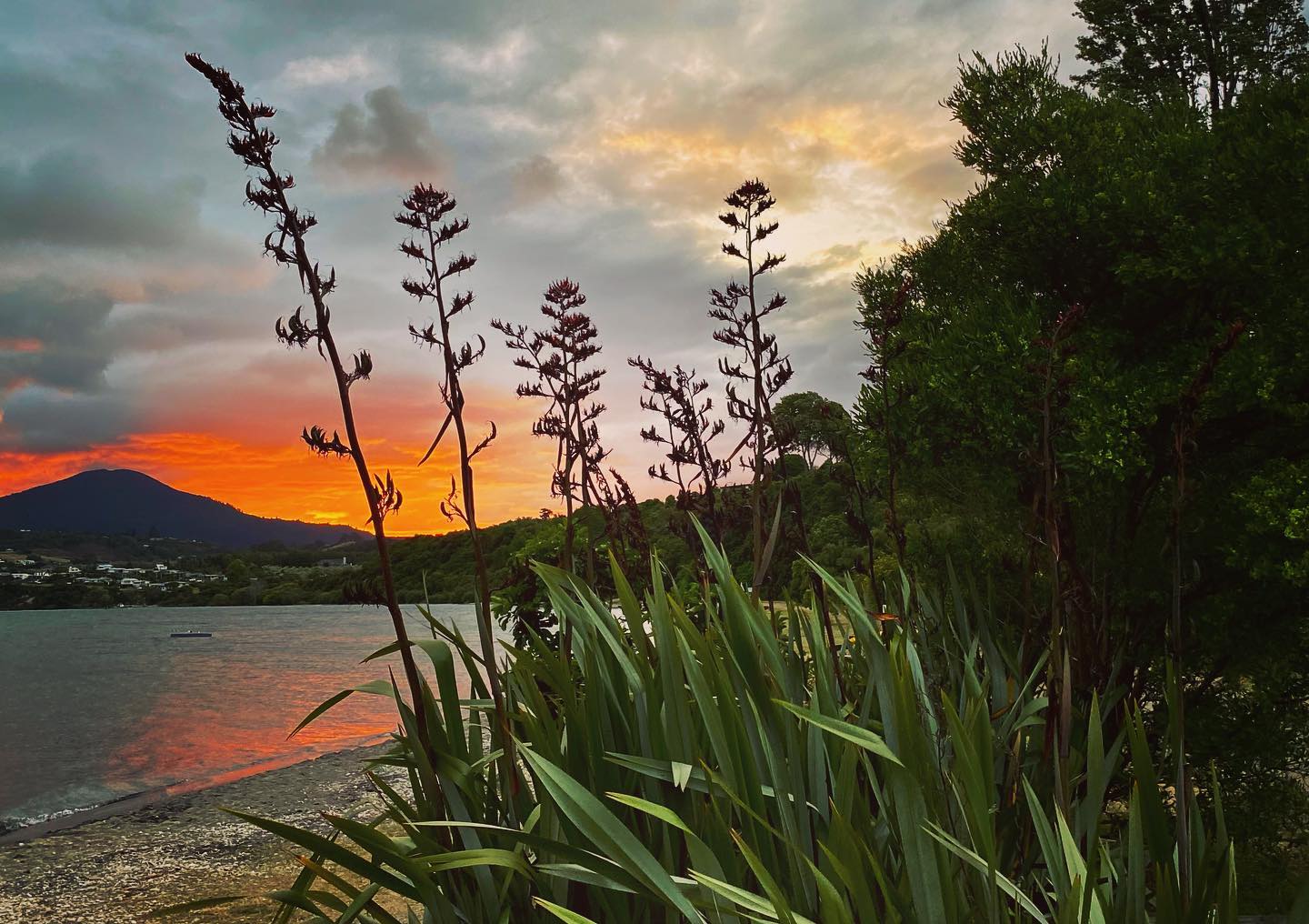 Lake Kuratau | Lakes in Taupo Fishing District | Taupo Official Website
