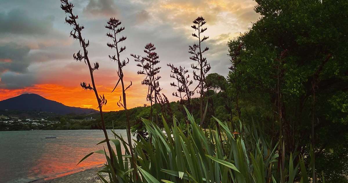 Kuratau Spring Lake Kuratau | Lakes in Taupo Fishing District | Taupo Official Website