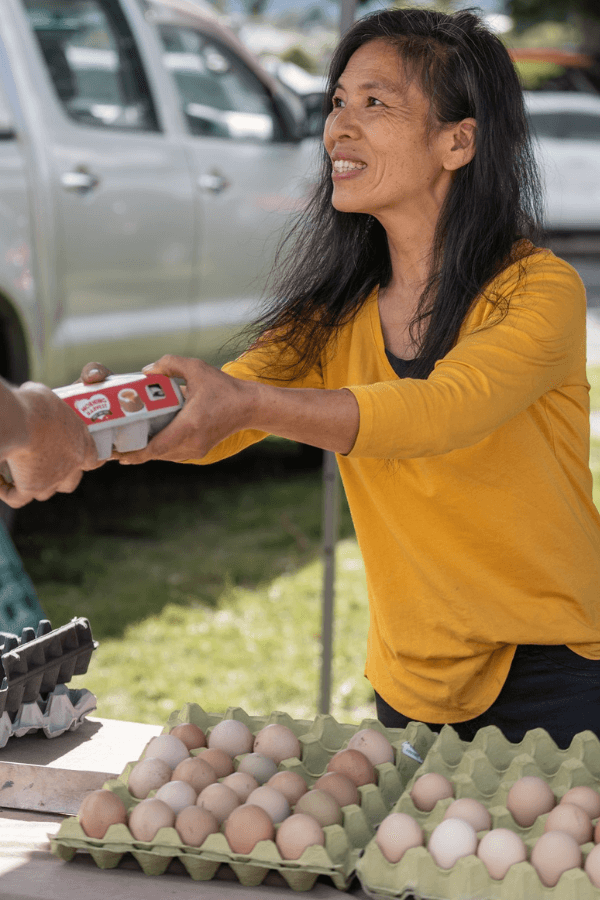 Market Central Taupo - Eggs