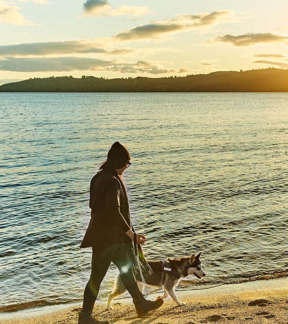 Woman walking her dog at Wharewaka, sunset Lake Taupo - By Todd Eyre