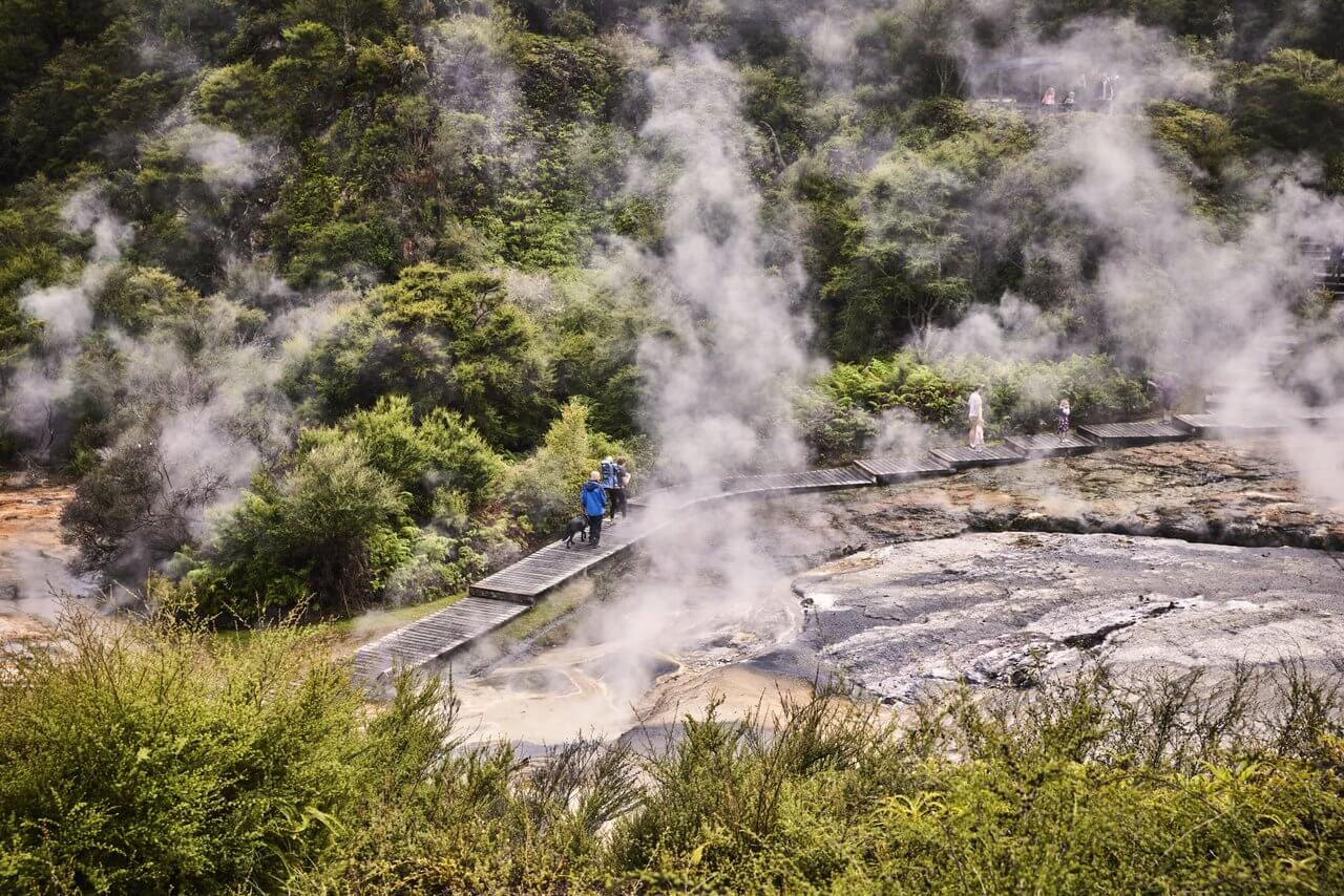 Family and Dog at Orakei Korako Geothermal Park