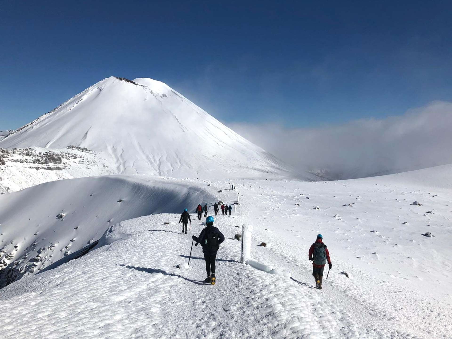 Premium Tongariro Crossing Guided Walk Tongariro National Park