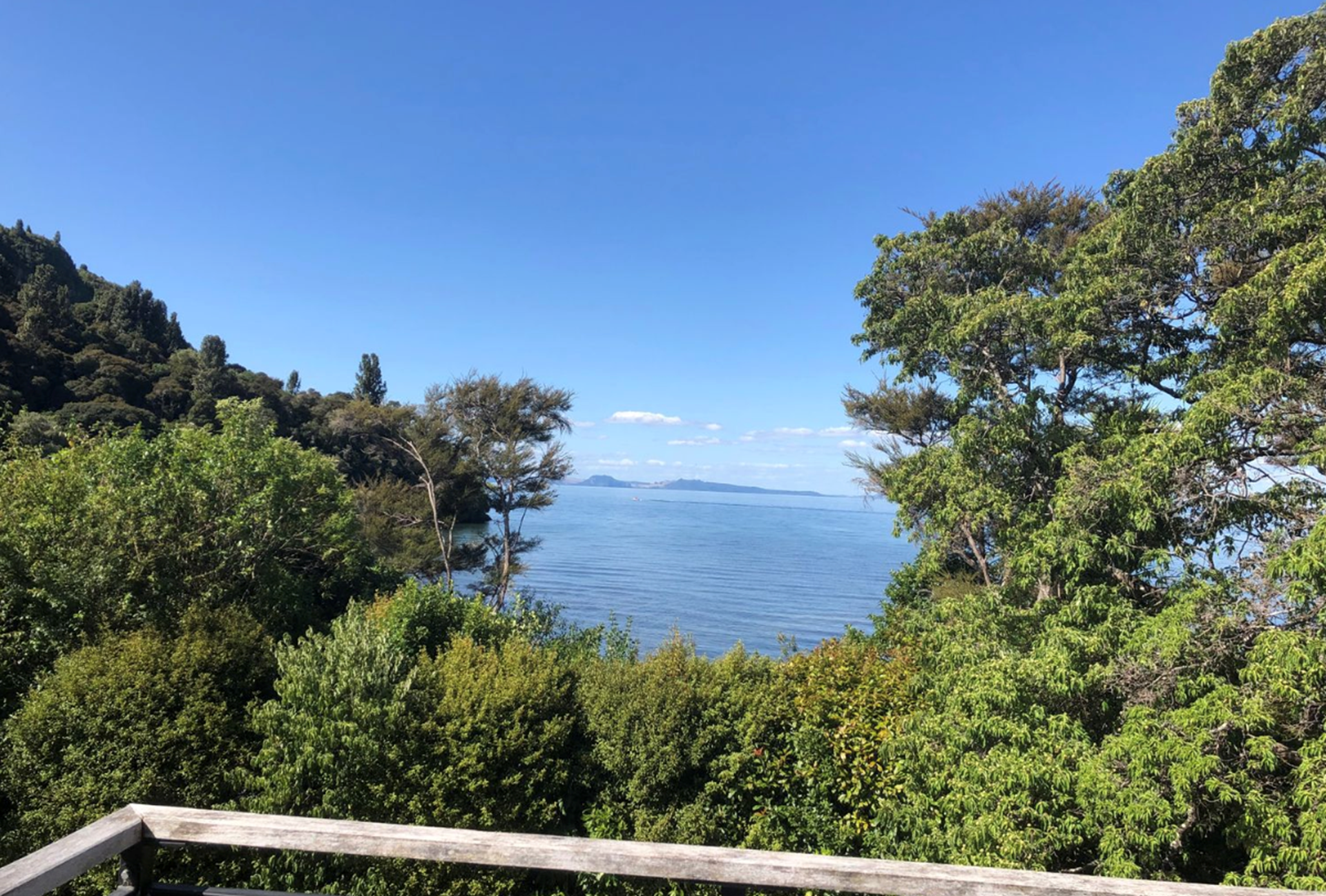 Kuratau Spring Puketapu - Kuratau Holiday Home | Taupo Official Website