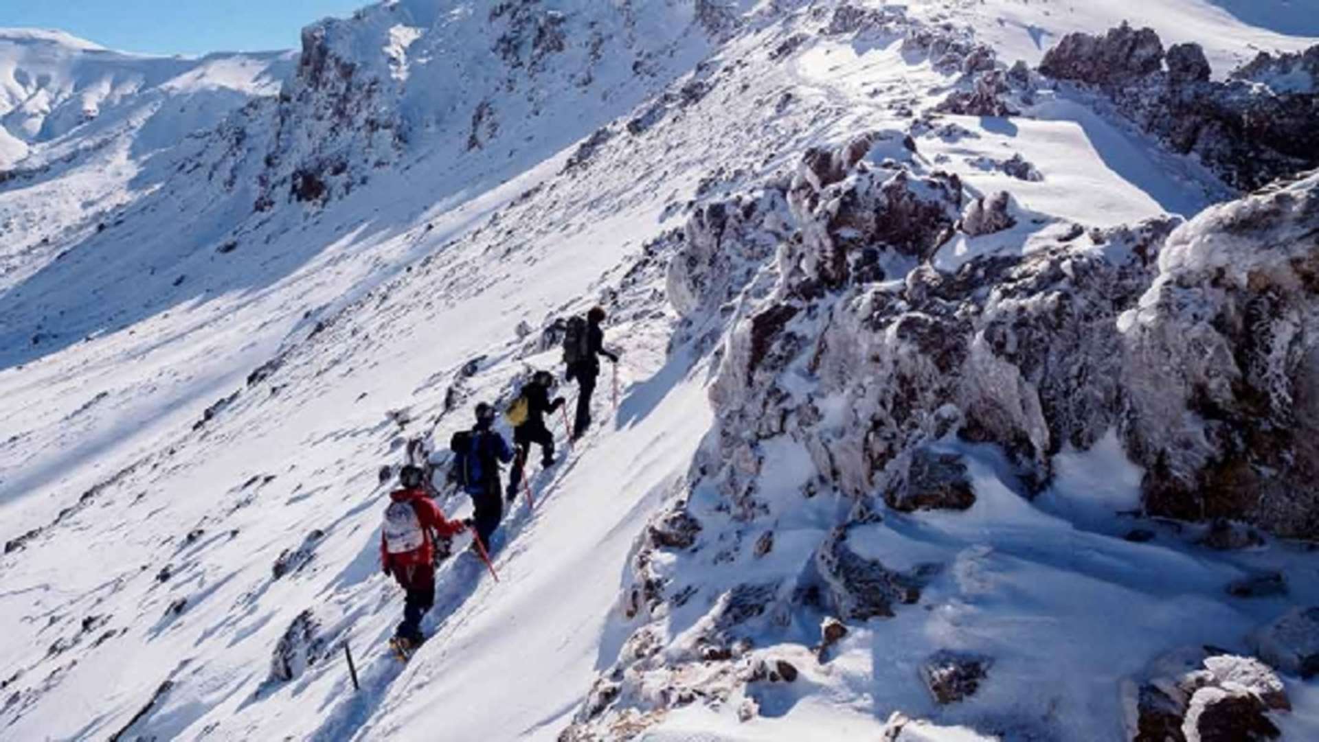 Adrift Tongariro - Guided Hikes & Walks | Tongariro National Park ...